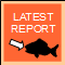 the Latest reports on whats biting and where