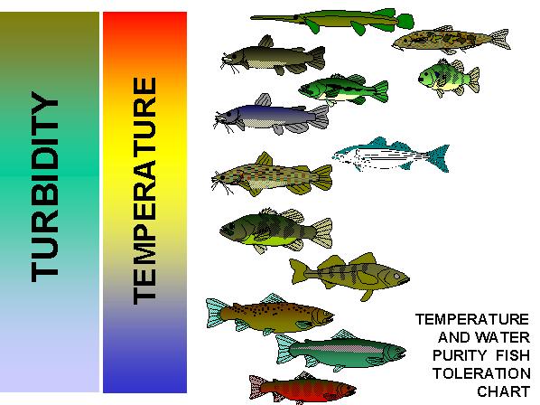 Bass Fishing Water Temperature Chart