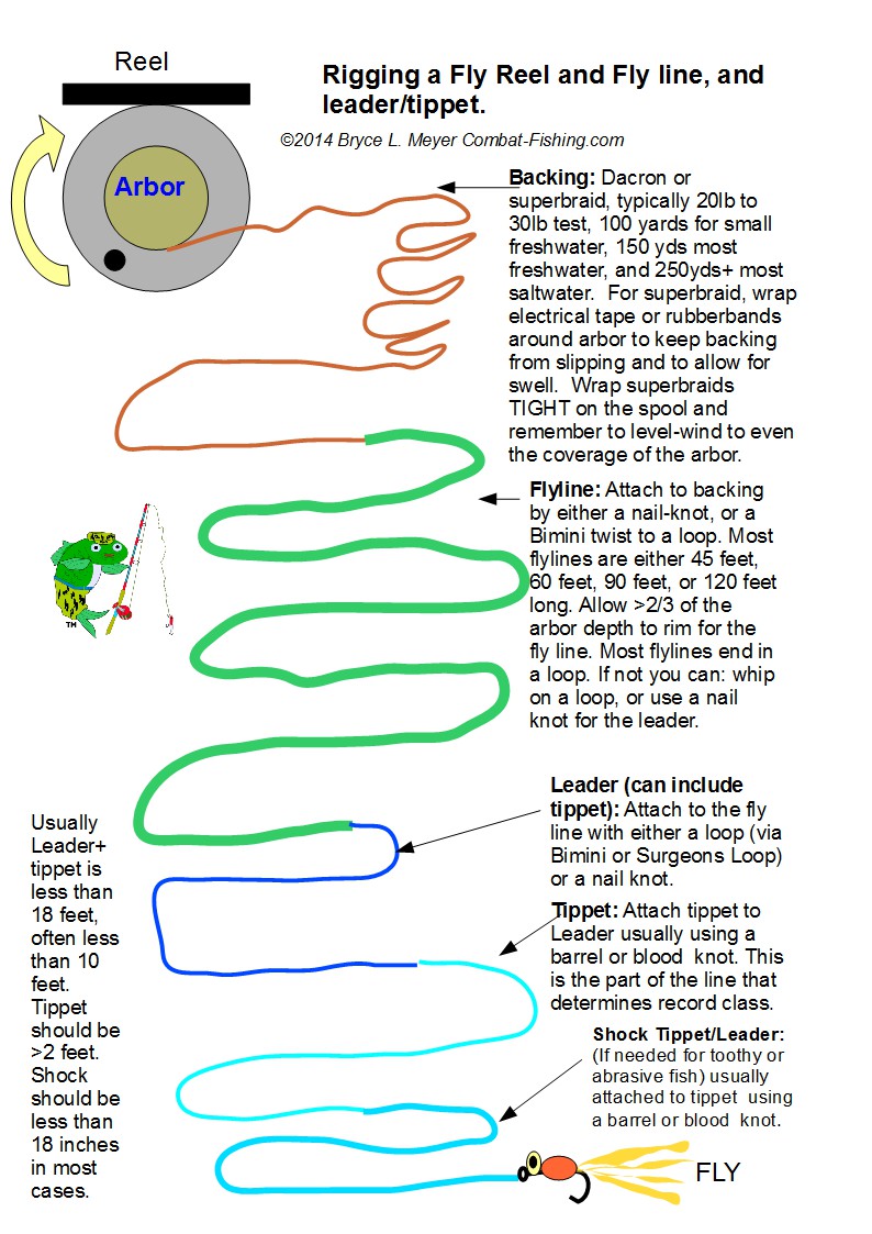 Fishing Basics and Tactics